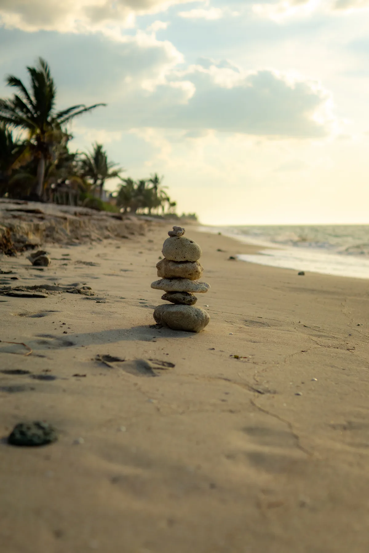 Fotografía de alimentos y gastronomía en Campeche — 6