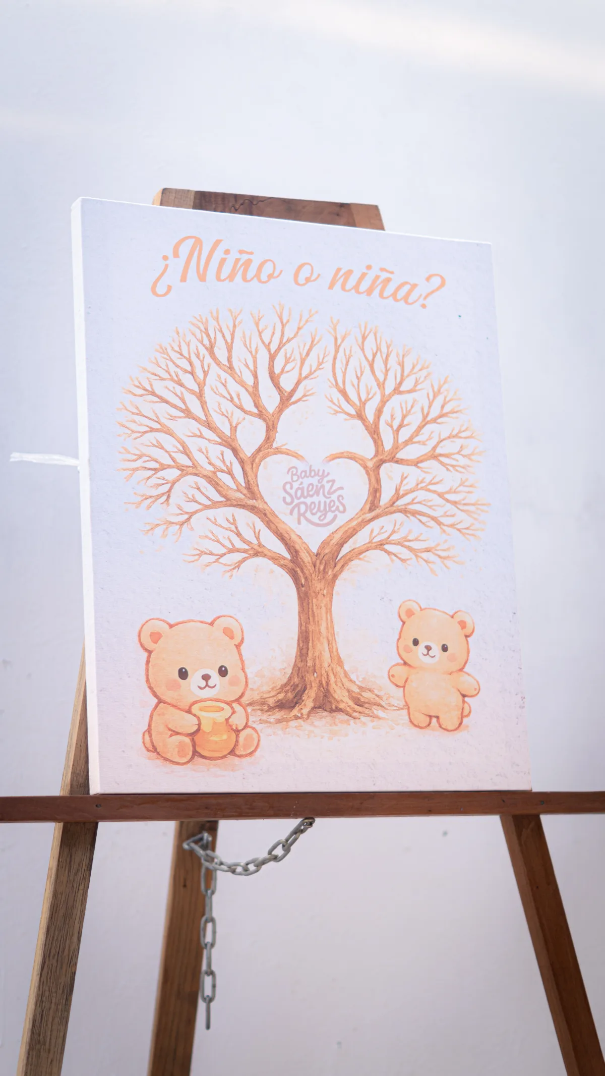 Fotografía de baby shower en Campeche — 15